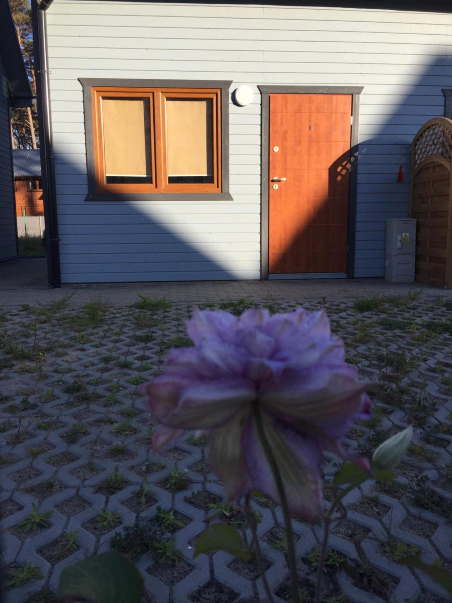Domki Alex Przy Plazy Dziwnówek Exterior foto